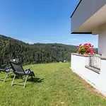 Triberg Blick * 特里贝格