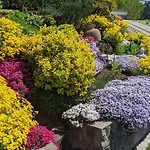 Triberg Blick 特里贝格