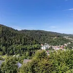 Triberg Blick *