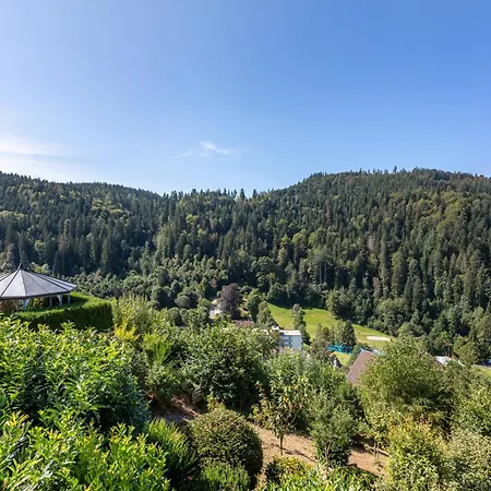 Triberg Blick Triberg im Schwarzwald