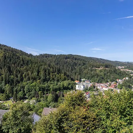 Triberg Blick * Triberg im Schwarzwald