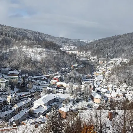 Triberg Blick Apartment *