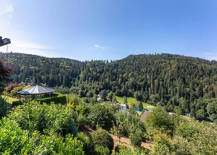 Triberg Blick Triberg im Schwarzwald
