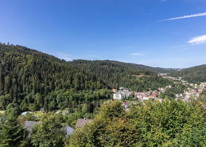 Triberg Blick * Triberg im Schwarzwald